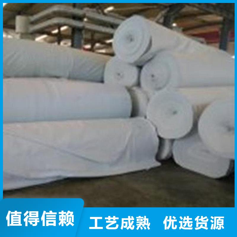 土工布_防水板诚信经营质量保证