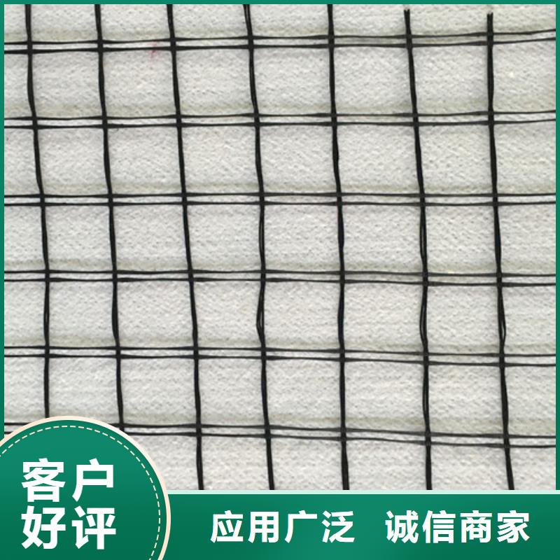 土工格栅双向土工格栅实体厂家支持定制