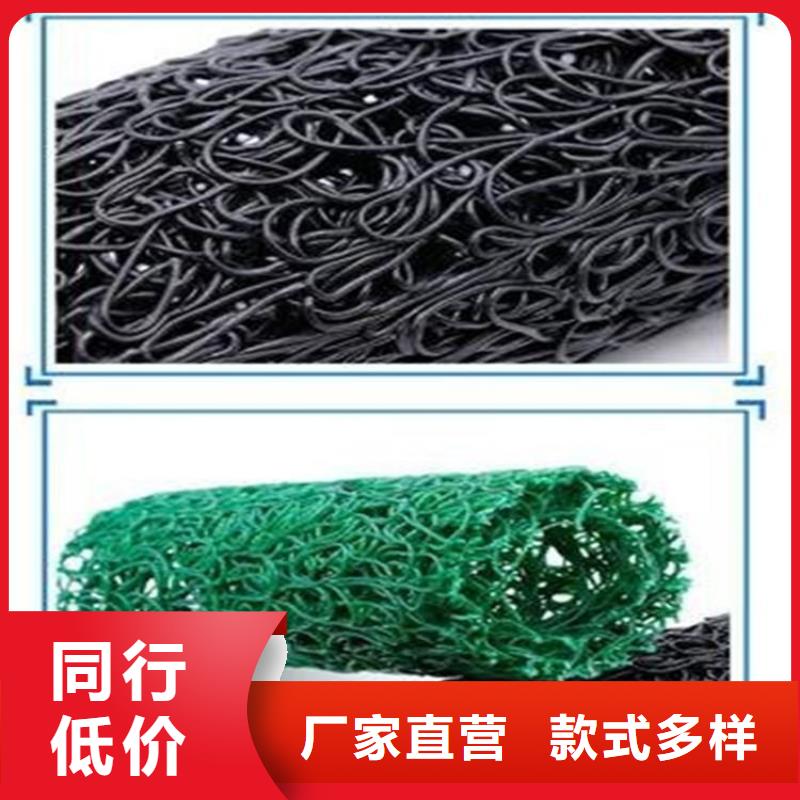 塑料盲沟土工膜真正的源头厂家