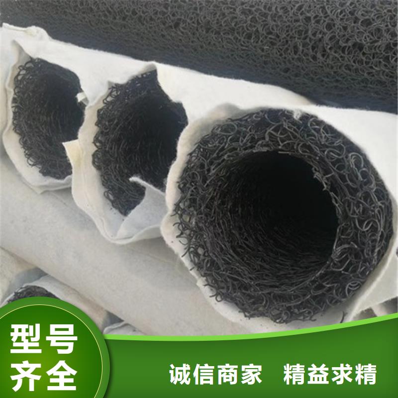 塑料盲沟土工膜真正的源头厂家