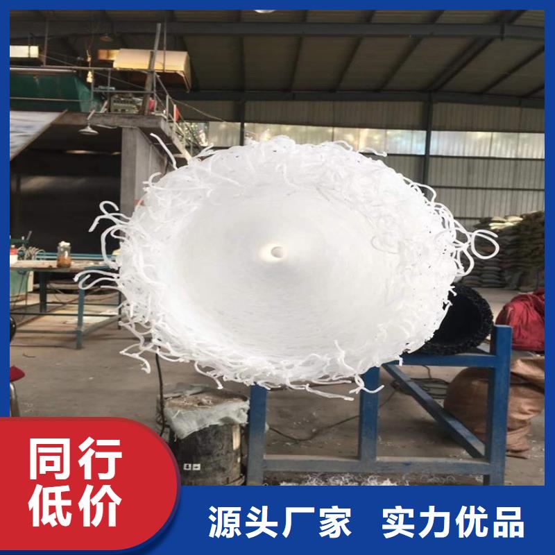 塑料盲沟土工膜真正的源头厂家