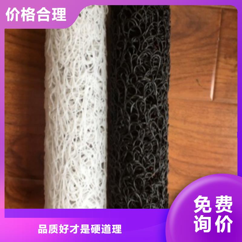 塑料盲沟土工膜真正的源头厂家
