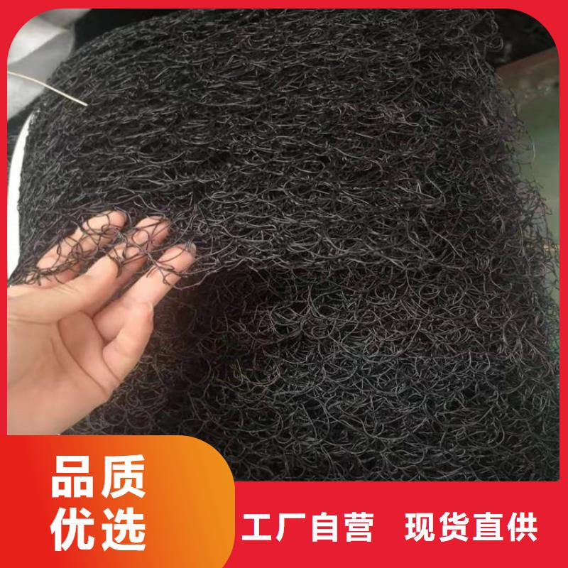 通风降噪丝网【植草格】现货满足大量采购