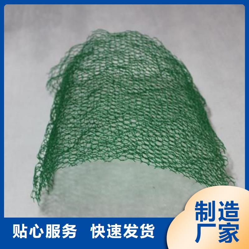 三维植被网HDPE土工膜高品质诚信厂家