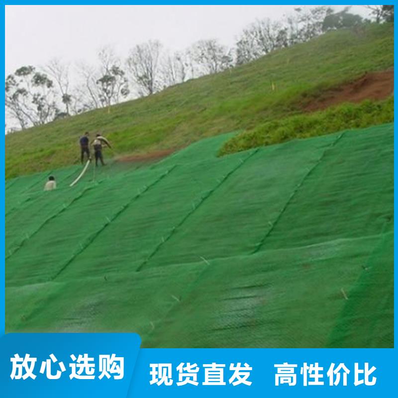三维植被网HDPE土工膜高品质诚信厂家