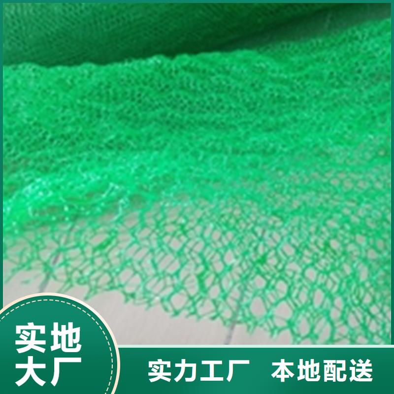 三维植被网HDPE土工膜高品质诚信厂家