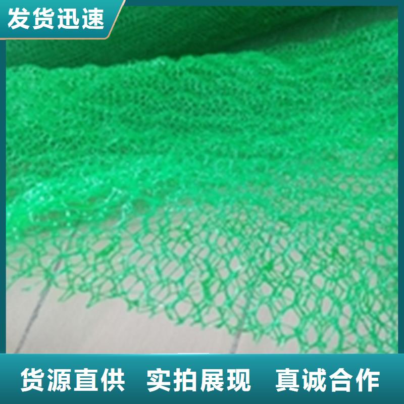 【三维植被网防草布质量安心】