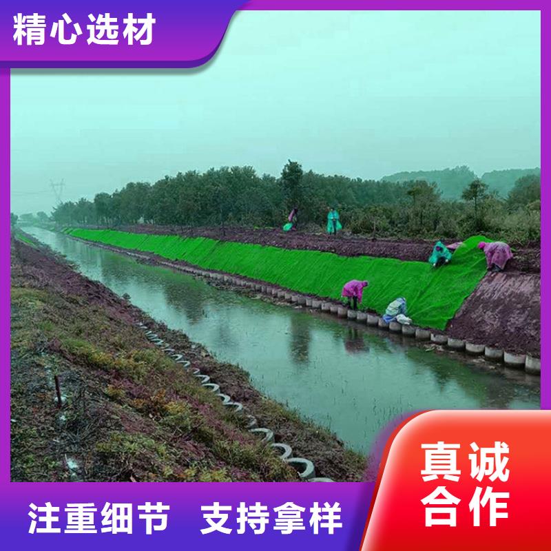 三维植被网HDPE土工膜真诚合作