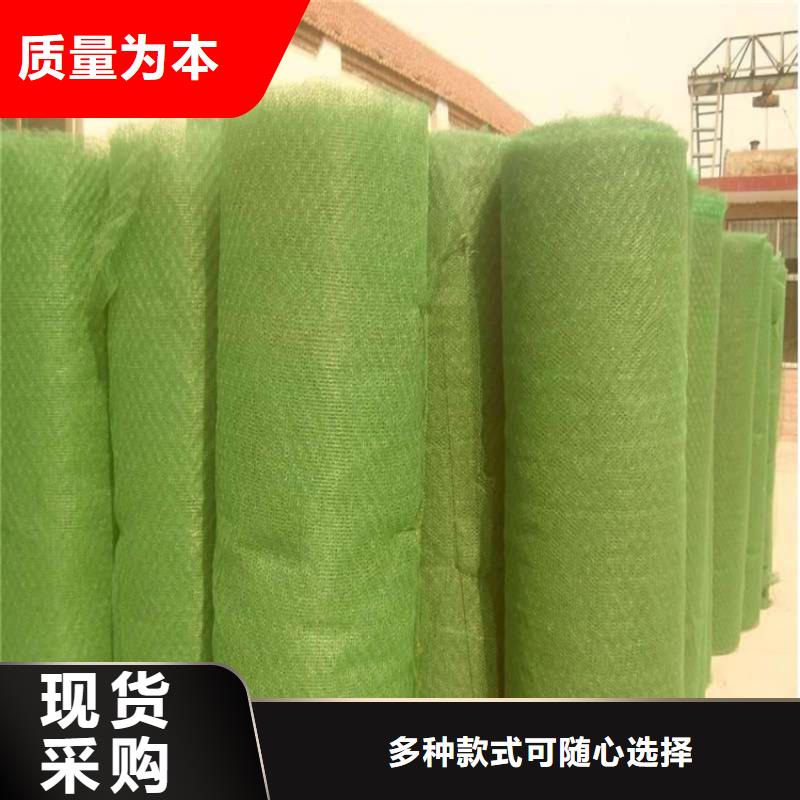 三维植被网【土工席】值得信赖