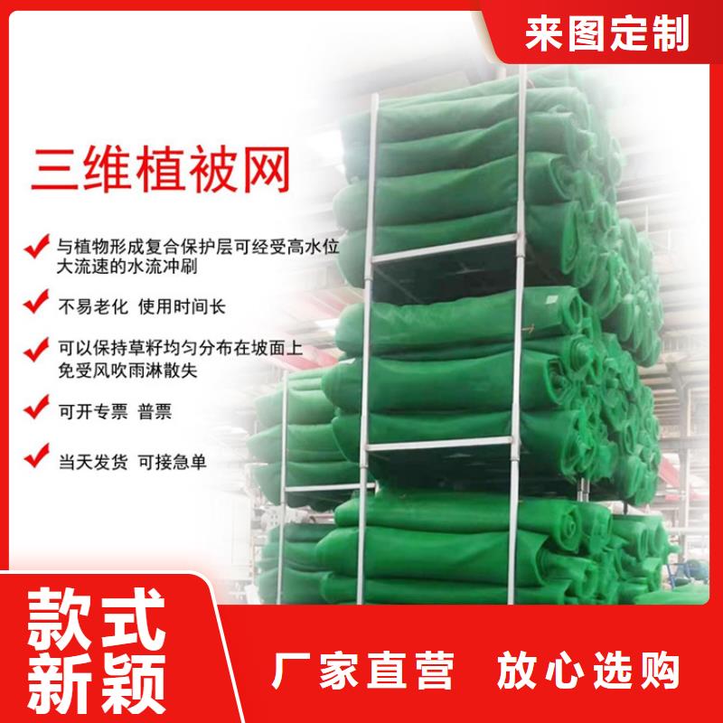 三维植被网HDPE土工膜高品质诚信厂家