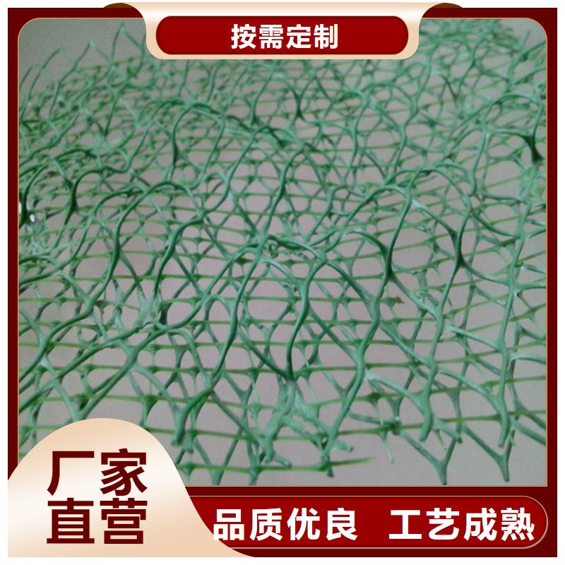 三维植被网通风降噪丝网放心购
