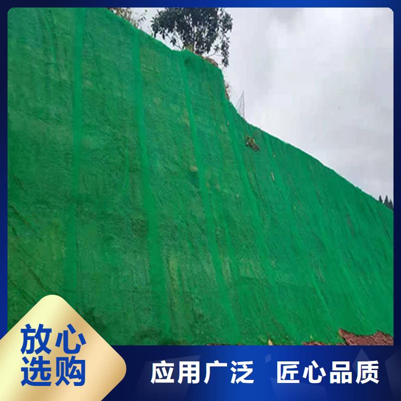 三维植被网通风降噪丝网放心购