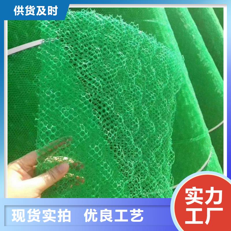 【三维植被网防草布质量安心】
