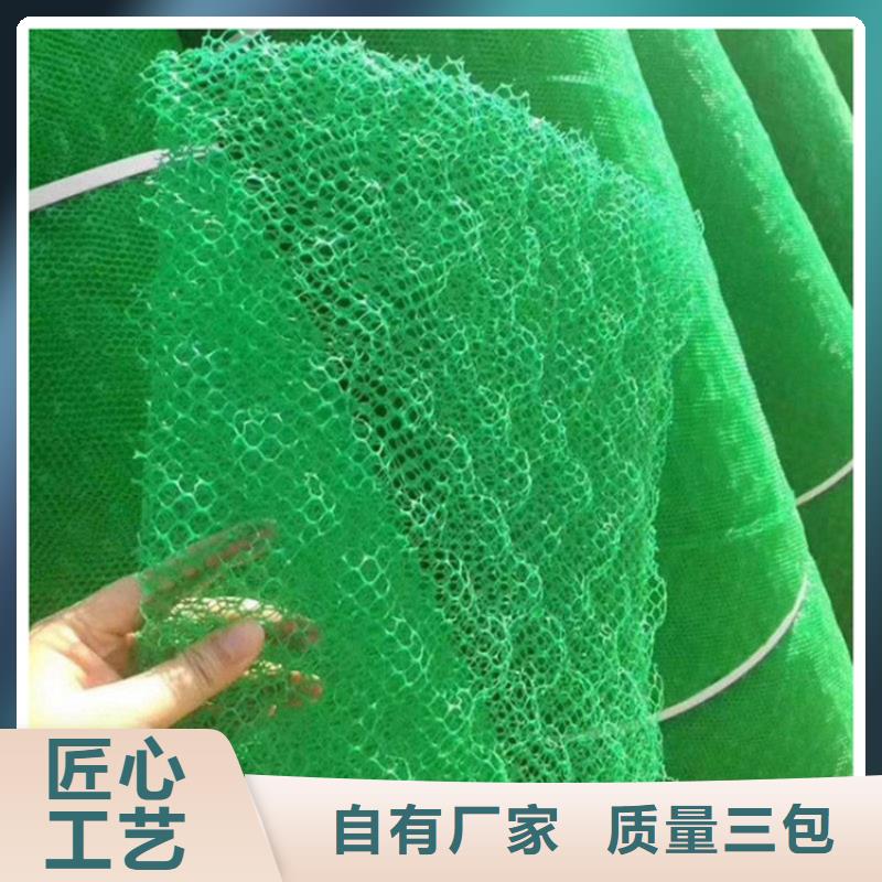三维植被网HDPE土工膜高品质诚信厂家
