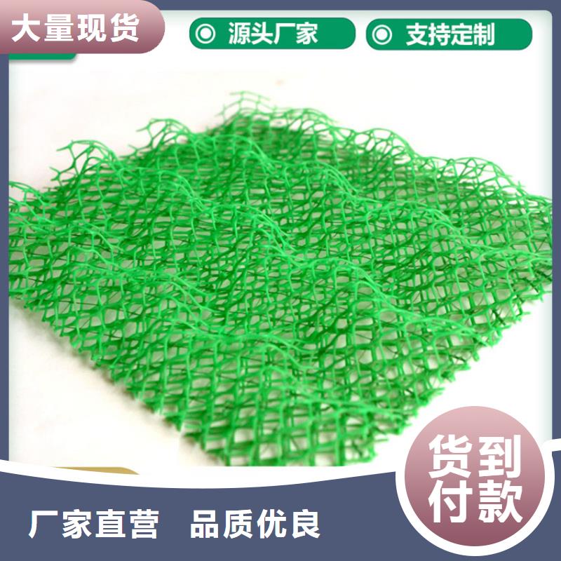 三维植被网通风降噪丝网放心购