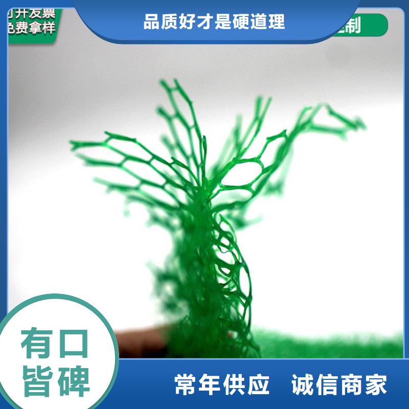 三维植被网【土工席】值得信赖