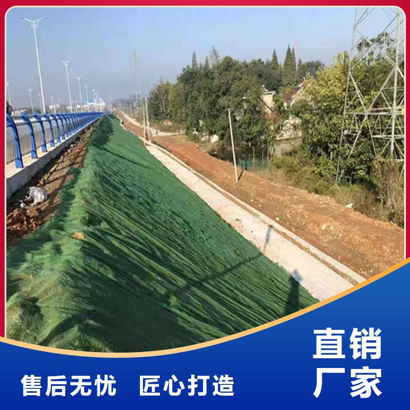 【三维植被网防草布质量安心】