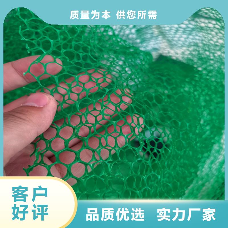 三维植被网【土工席】值得信赖