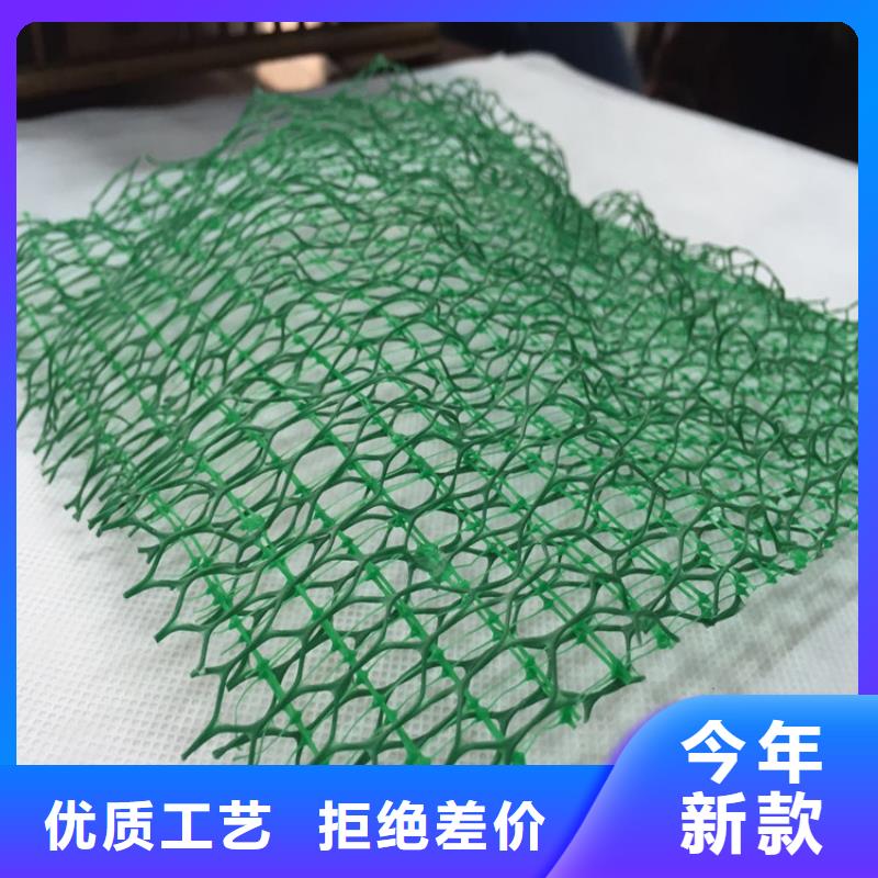 三维植被网通风降噪丝网放心购