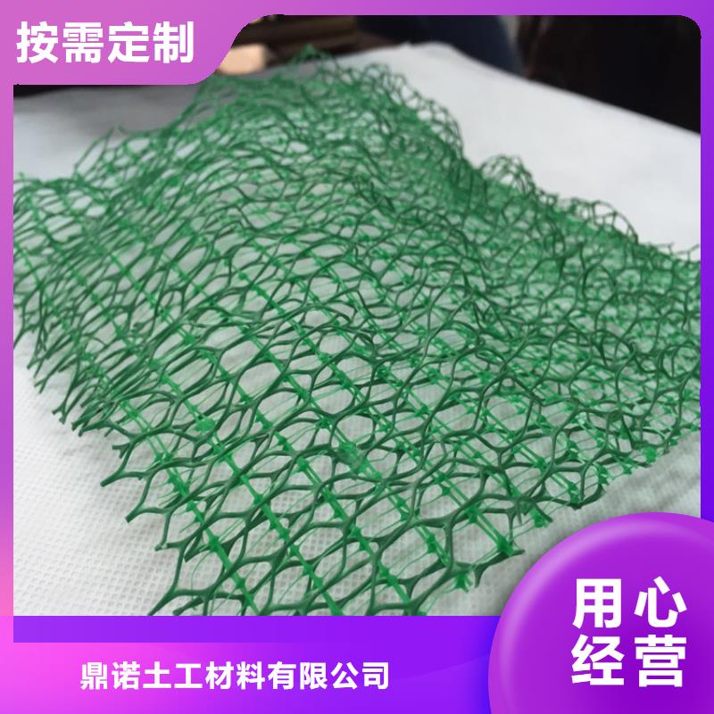 三维植被网HDPE土工膜高品质诚信厂家