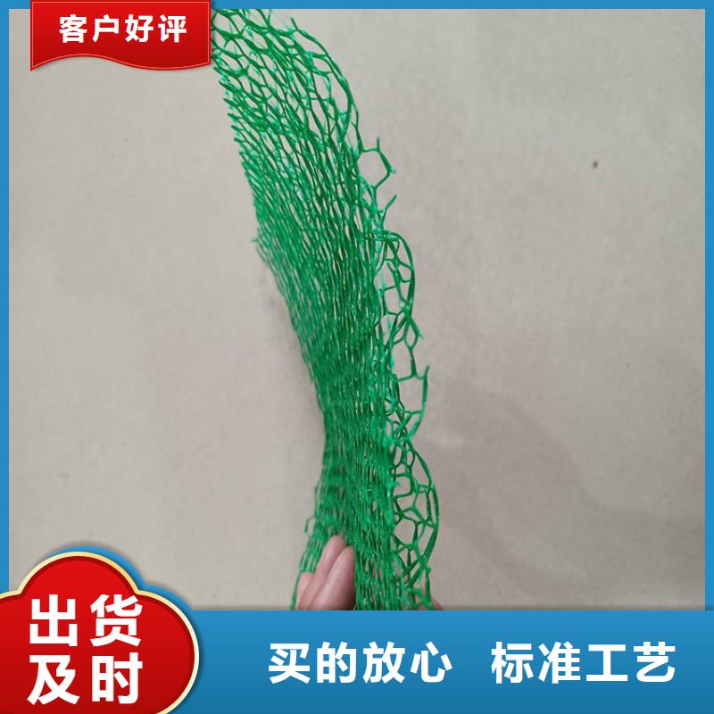 【三维植被网防草布质量安心】