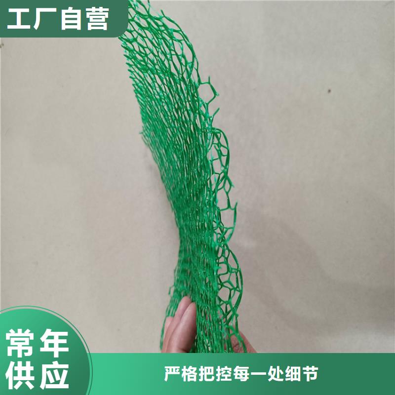 三维植被网【土工席】值得信赖