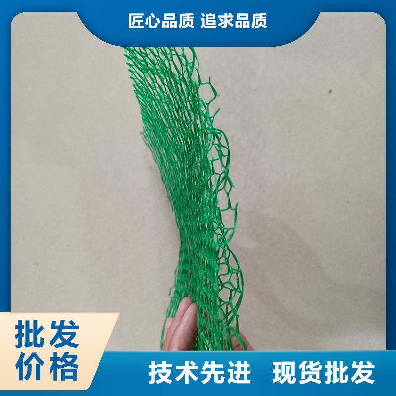 三维植被网HDPE土工膜高品质诚信厂家