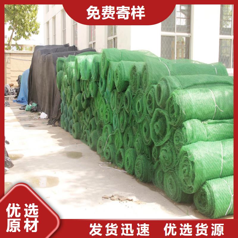 三维植被网HDPE土工膜高品质诚信厂家