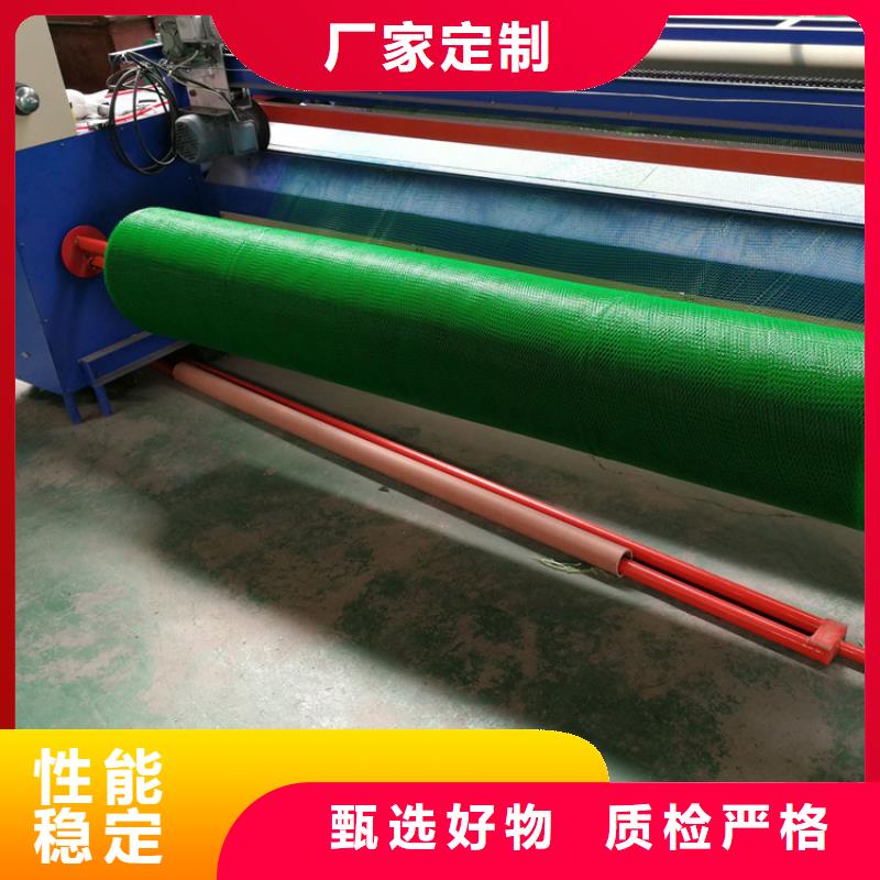 三维植被网HDPE土工膜真诚合作