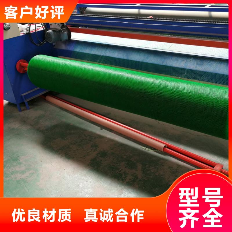 三维植被网【土工席】值得信赖