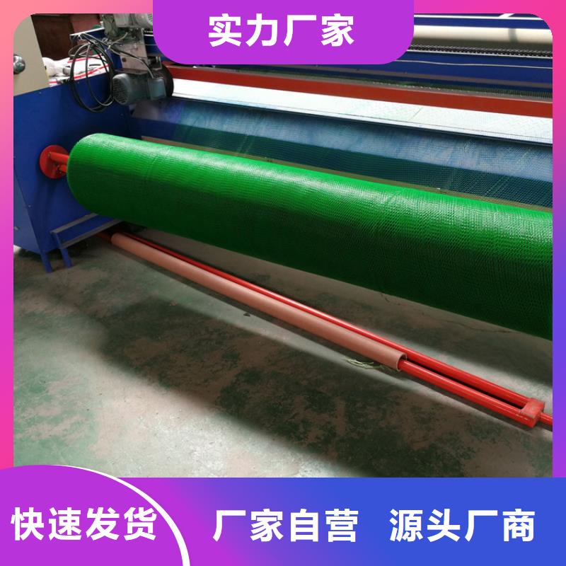 三维植被网塑料盲沟工厂直营