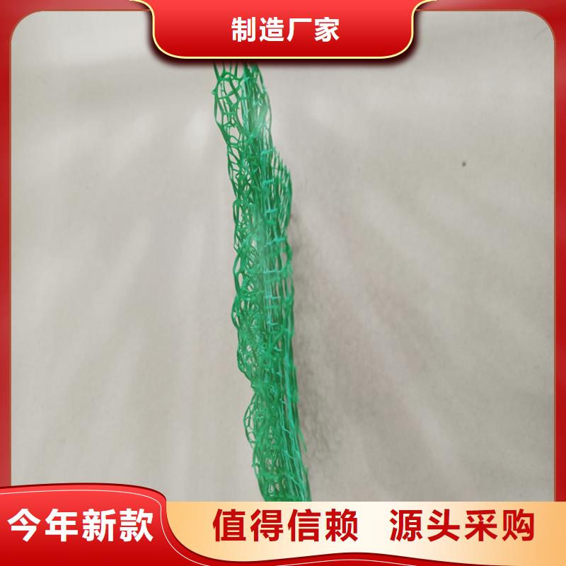 三维植被网塑料盲沟工厂直营