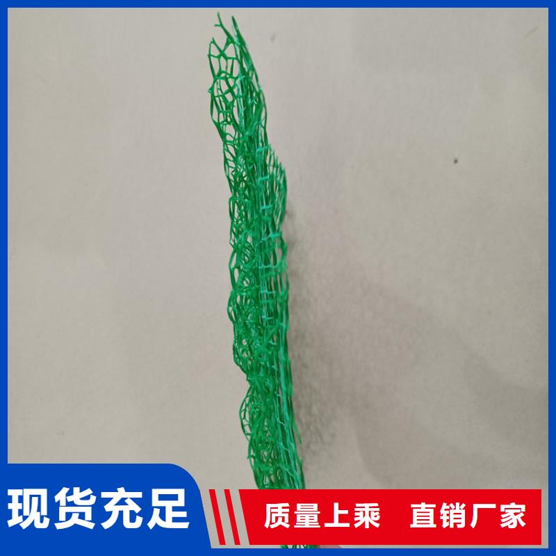 三维植被网HDPE土工膜高品质诚信厂家