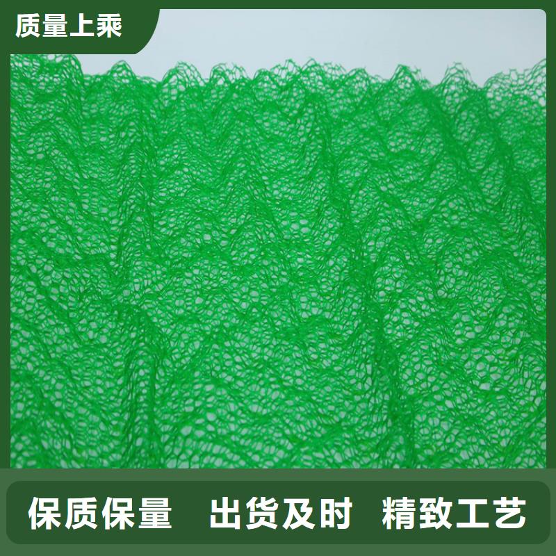 三维植被网塑料盲沟工厂直营