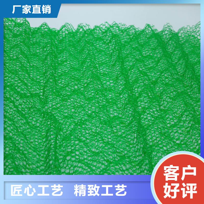 三维植被网【土工席】值得信赖
