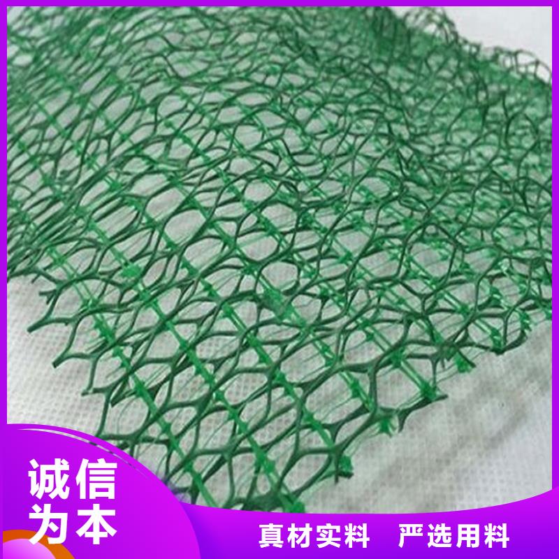三维植被网【土工席】值得信赖