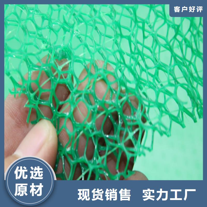 三维植被网HDPE土工膜高品质诚信厂家
