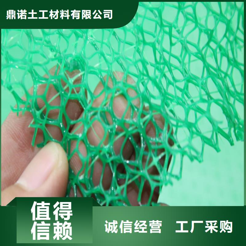 三维植被网【土工席】值得信赖