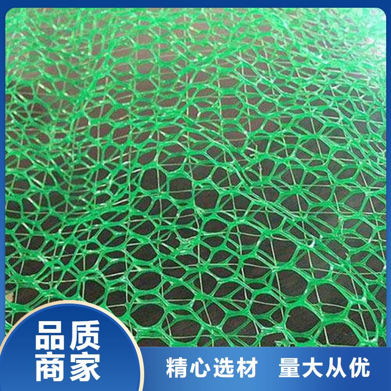 【三维植被网防草布质量安心】