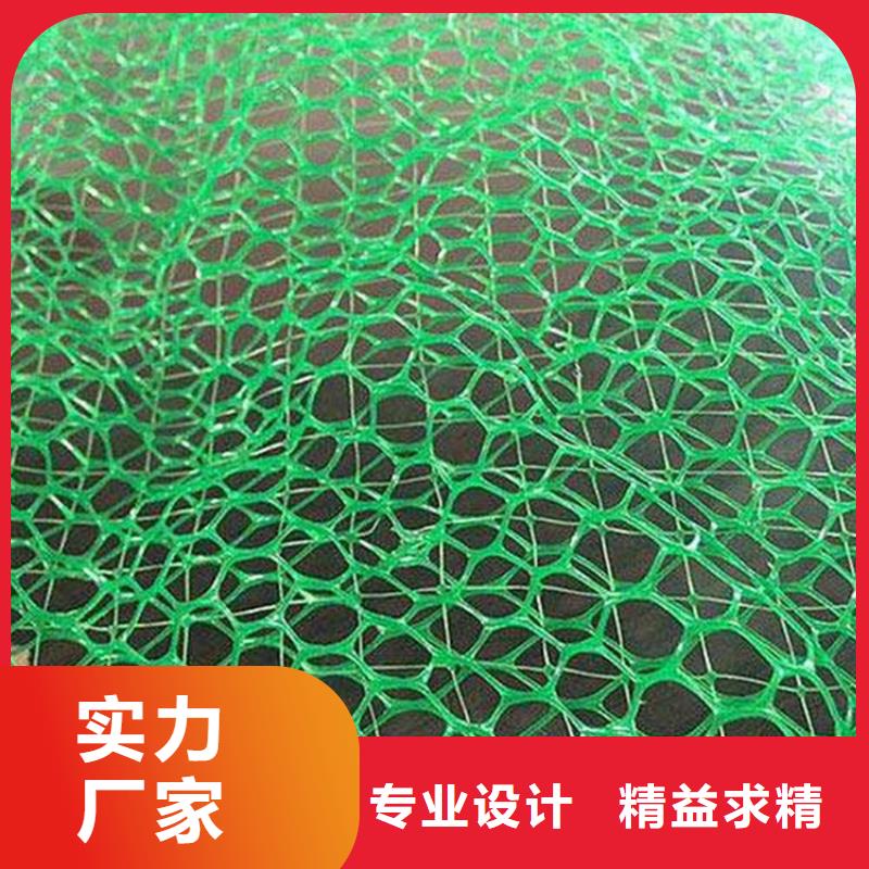 三维植被网【土工席】值得信赖