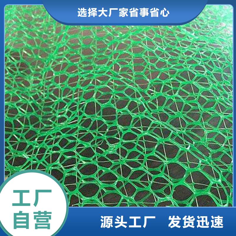 三维植被网塑料盲沟工厂直营