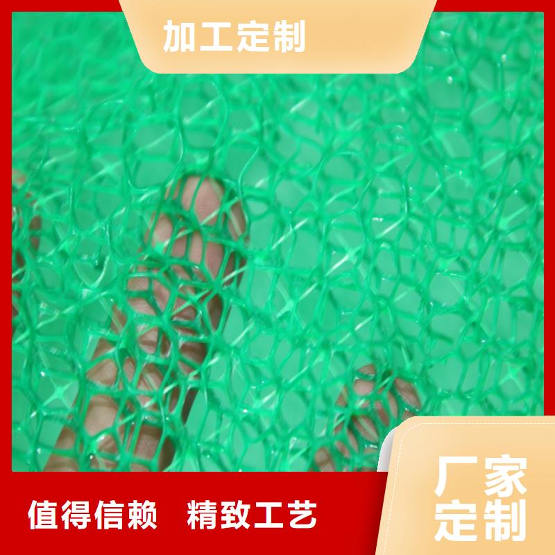 三维植被网塑料盲沟工厂直营