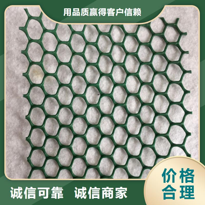 三维植被网三维土工网专业的生产厂家