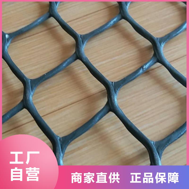 三维植被网防草布品质无所畏惧