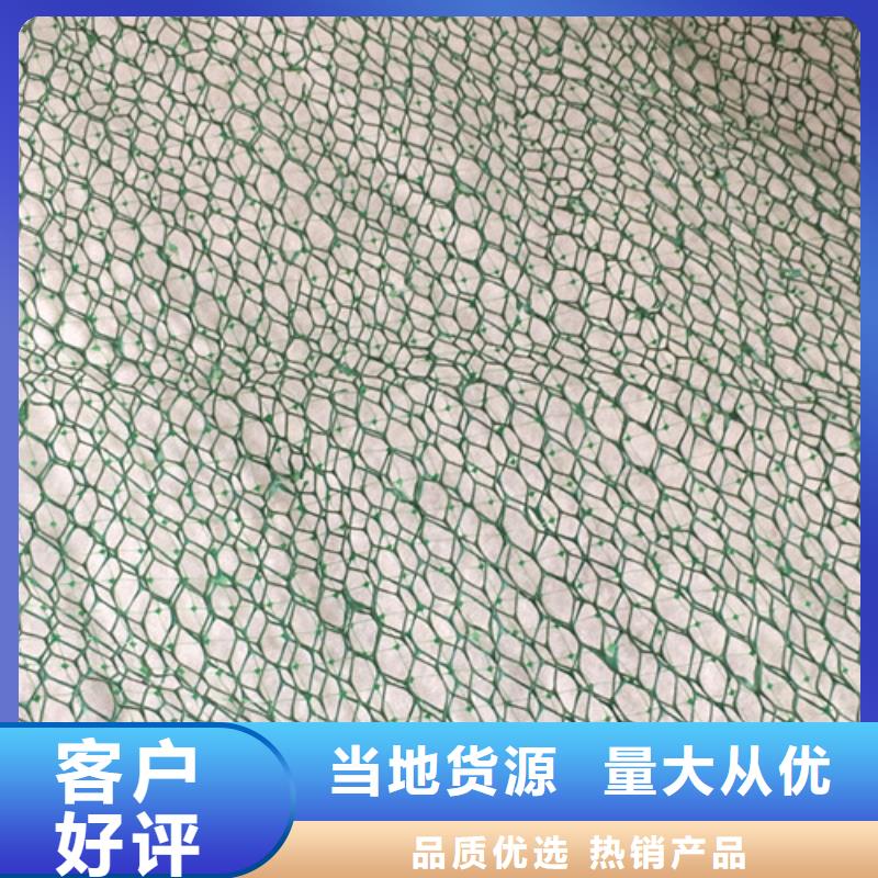 三维植被网加筋麦克垫大量现货供应