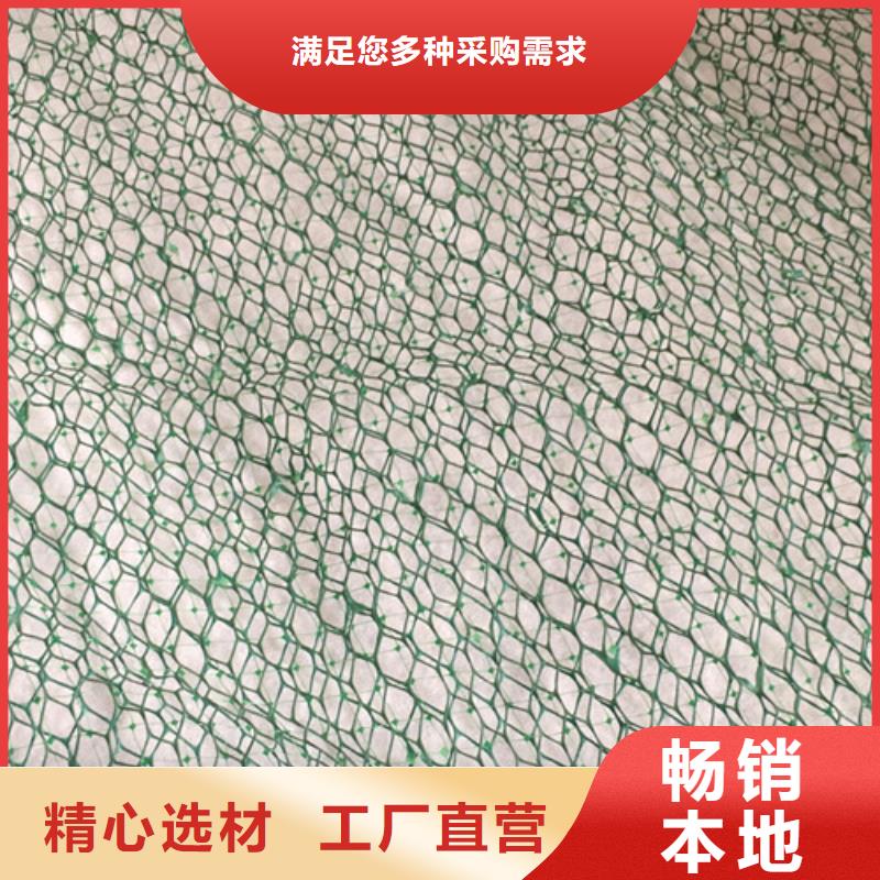三维植被网土工布厂诚信经营