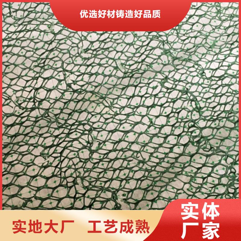 三维植被网_加筋麦克垫质量牢靠