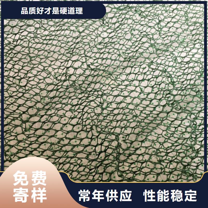 三维植被网_三维网垫质量看得见