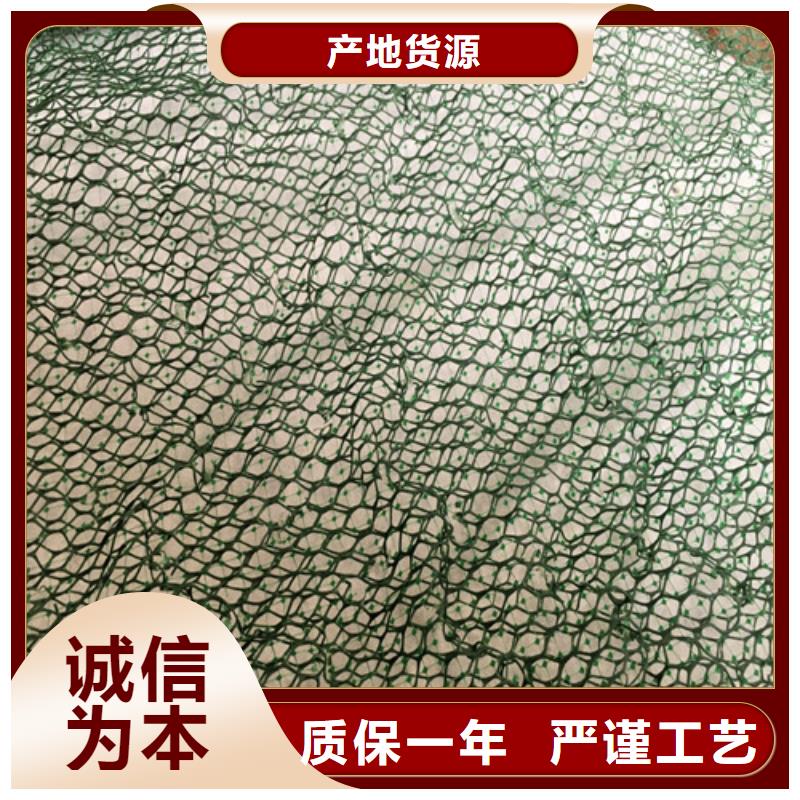 三维植被网土工布厂诚信经营