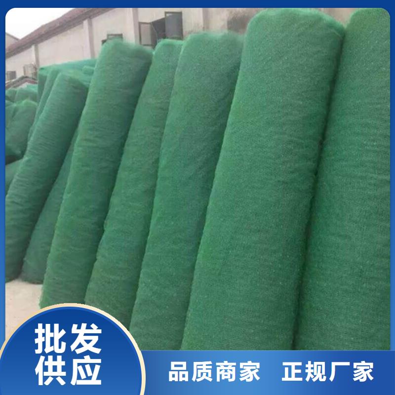 三维植被网加筋麦克垫实时报价